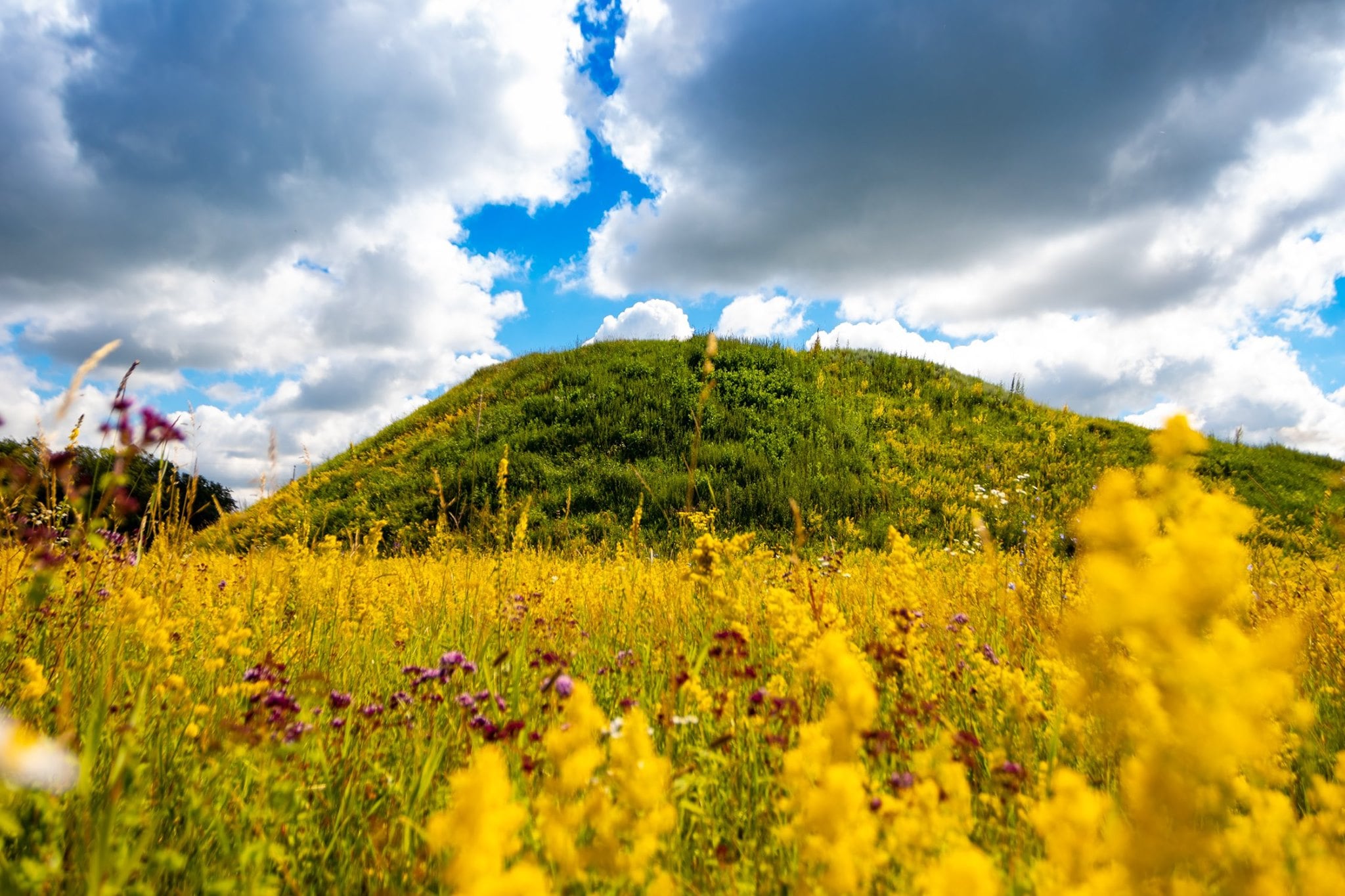 Державний історико-культурний заповідник “Посулля”